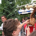 europapark06012.jpg